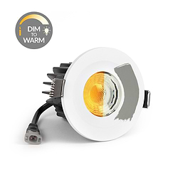 Paintable Dim to Warm Downlight