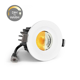 White Dim to Warm Downlight
