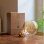 Soho Lighting E27 Vintage Sunset Globe Dimmable LED Bulb G12, 4W, 1800K, High CRI