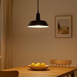 Black Industrial Dish Pendant Light