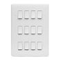 Lieber Silk White 12 Gang Grid Plate
