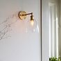 Potter Clear Glass Wall Light