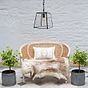 London Geotrapeze Metal Glass Lantern Pendant Light - Small (With Chain) 