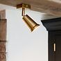 Pimlico Single Spot Light