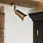 Pimlico Single Spot Light