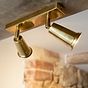 Pimlico Double Spot Light