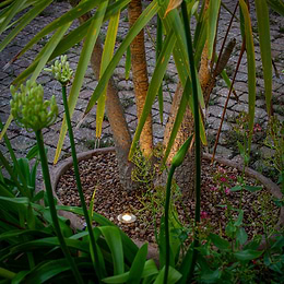 Brass IP Rated Uplighter
