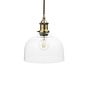 Clear Glass Dome Pendant Light