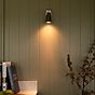 Pimlico Single Spot Light