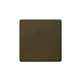 Bronze Blank Plate