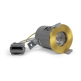 Gold Downlight