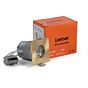 Lieber Brushed brass GU10 Fire rated IP65 square downlight