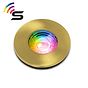 Gold Smart Downlight