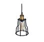 Denman Cone Industrial Black Cage Pendant Light