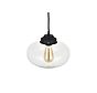Goslett Clear Blown Glass Fish Bowl Pendant Light