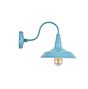 Argyll Industrial Wall Light Duck Egg Blue