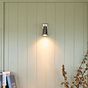 Pimlico Single Spot Light