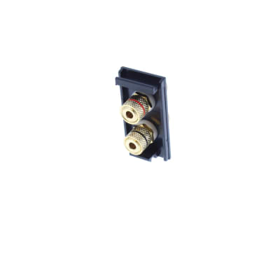 Black 2 Speaker Binding Post EM-Euro Module