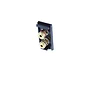 Black 2 Speaker Binding Post EM-Euro Module