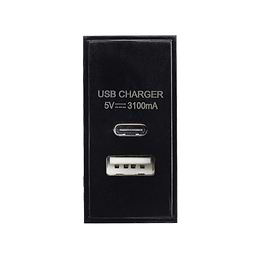 Black USB C Euro Module
