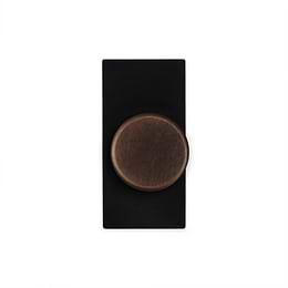 Soho Lighting Vintage Brass 6A Dummy LT2-Dimmer Switch