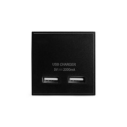 Soho Lighting Black USB Charger 2 Gang EM-Euro Module