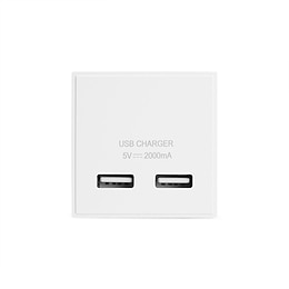 White USB Charger Euro Module