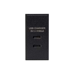 Black USB C Euro Module
