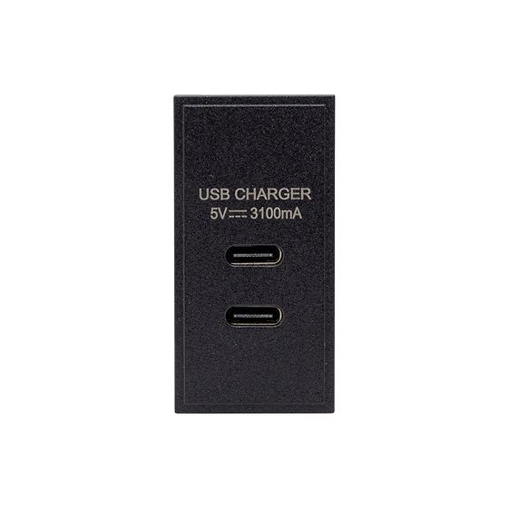 Black USB C Euro Module
