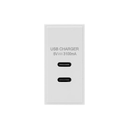 Soho Lighting Silk White Dual Fast Charge USB C+C Charger Euromodule 3.1A 25mmx 50mm