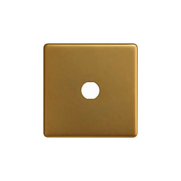 Soho Lighting Antique Gold 1 Gang CM Circular Module Grid Switch Plate