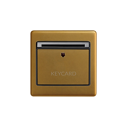 Soho Lighting Antique Gold 32A Key Card Switch