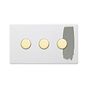 Paintable 3 Gang Dimmer Switch

