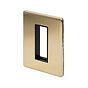 Soho Lighting Brushed Brass Black Insert 1 x25mm EM-Euro Module Faceplate