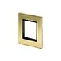 Soho Lighting Brushed Brass Black Insert 2 x25mm EM-Euro Module Faceplate
