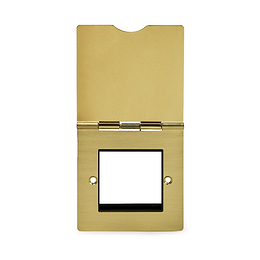 Brushed Brass Floor Socket
