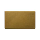 Soho Lighting Old Brass metal Double Blanking Plate