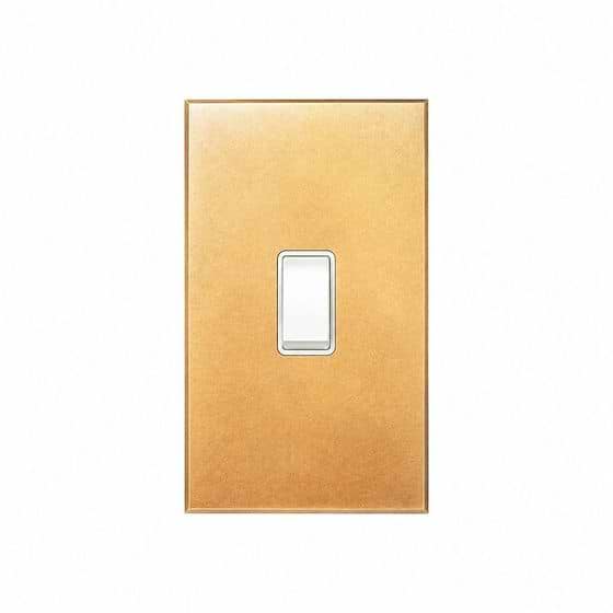 Soho Lighting Natural Brass 1 Gang 45A Double Pole Switch - Large with White Insert  - The Palaces Collection