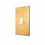 Soho Lighting Natural Brass 1 Gang 45A Double Pole Switch - Large with White Insert  - The Palaces Collection