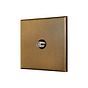 Soho Lighting Aged Brass 1 Gang Satellite Socket with Black Insert - The Palaces Collection