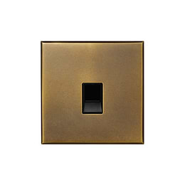 Soho Lighting Aged Brass 1 Gang CAT5/CAT6 RJ45 Ethernet Data Socket with Black Insert  - The Palaces Collection