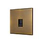 Soho Lighting Aged Brass 1 Gang CAT5/CAT6 RJ45 Ethernet Data Socket with Black Insert  - The Palaces Collection