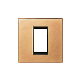 Soho Lighting Natural Brass 1 x25mm EM Euro Module Wall Plate with Black Insert  - The Palaces Collection