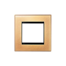 Soho Lighting Natural Brass 2 x25mm EM Euro Module Wall Plate with Black Insert  - The Palaces Collection