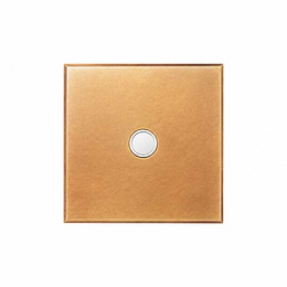 Soho Lighting Natural Brass 20A Flex Outlet with White Insert  - The Palaces Collection