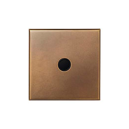 Soho Lighting Aged Brass 20A Flex Outlet with Black Insert  - The Palaces Collection