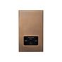 Soho Lighting Aged Brass 230V/115V Dual Voltage Shaver Socket with Black Insert  - The Palaces Collection