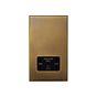 Soho Lighting Aged Brass 230V/115V Dual Voltage Shaver Socket with Black Insert  - The Palaces Collection