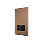 Soho Lighting Aged Brass 230V/115V Dual Voltage Shaver Socket with Black Insert  - The Palaces Collection