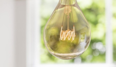 Bulbs: The Complete Guide